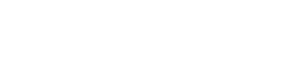 Nixi – 350×100 (1)